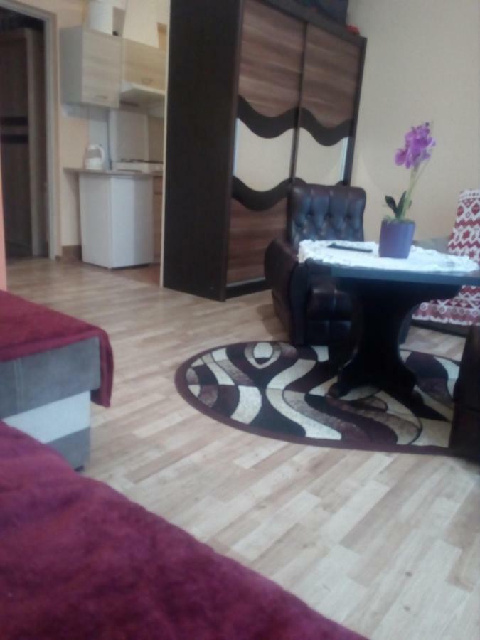 U Kasprow Apartment Zakopane Bagian luar foto